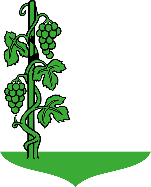 Free download Grapes Green Plants - Free vector graphic on Pixabay free illustration to be edited with GIMP free online image editor