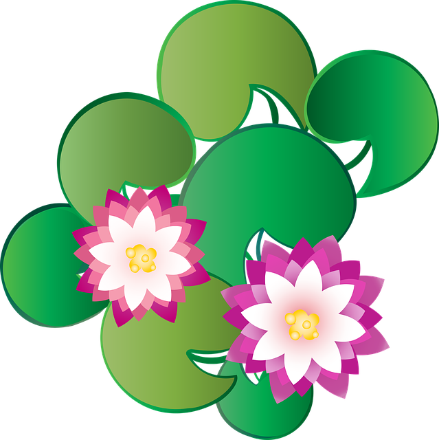 Free download Graphic Lotus Kashmir - Free vector graphic on Pixabay free illustration to be edited with GIMP free online image editor