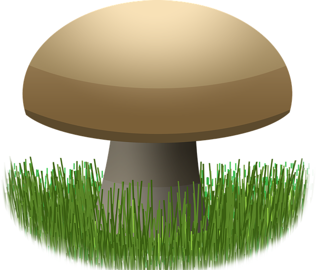 Free download Graphic Mushroom Food - Free vector graphic on Pixabay free illustration to be edited with GIMP free online image editor