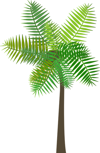 Free download Graphic Palm TreeFree vector graphic on Pixabay free illustration to be edited with GIMP online image editor