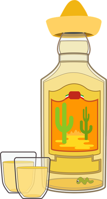 Free download Graphic Tequila Bottle - Free vector graphic on Pixabay free illustration to be edited with GIMP free online image editor