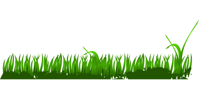 Free download Grass Earth Hour Easter - Free vector graphic on Pixabay free illustration to be edited with GIMP free online image editor