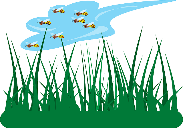 Free download Grass Green Garden - Free vector graphic on Pixabay free illustration to be edited with GIMP free online image editor