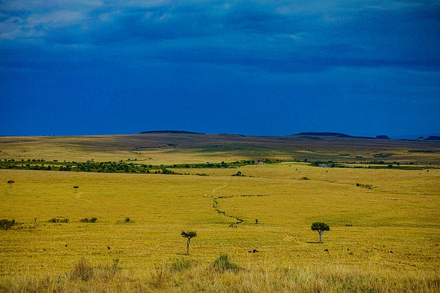 Free download grassland nature reserve free picture to be edited with GIMP free online image editor