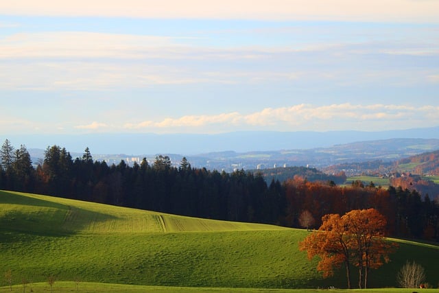 Free download grassland trees autumn landscape free picture to be edited with GIMP free online image editor