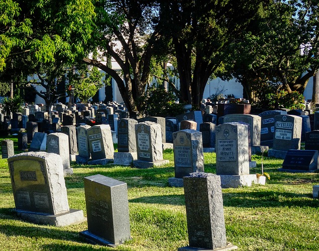 Free download graveyard jewish jewish cemetery free picture to be edited with GIMP free online image editor