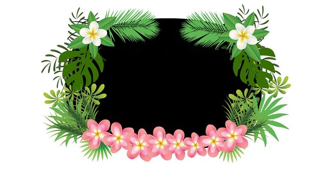 Free download Greenery Foliage Tropical -  free illustration to be edited with GIMP free online image editor