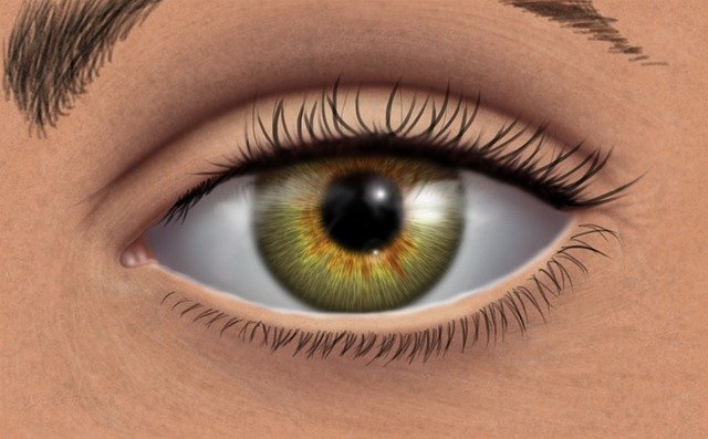 Free download Green Eye Digital Painting Look -  free illustration to be edited with GIMP free online image editor