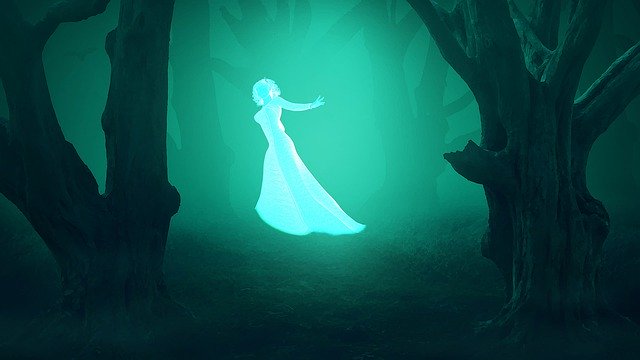 Free download Green Forest Night -  free illustration to be edited with GIMP free online image editor