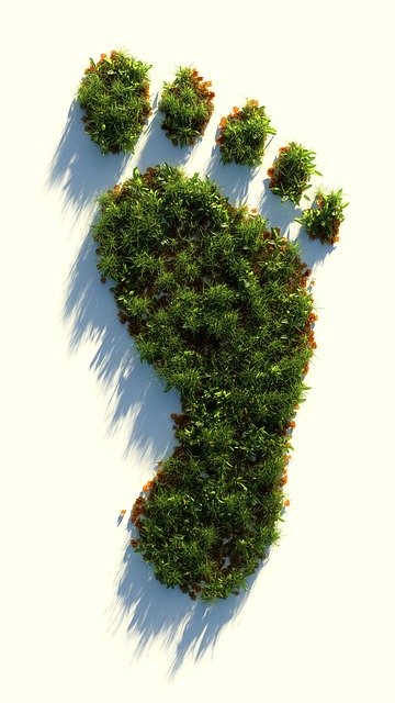 Free download Green Healthy Footprint Ecological -  free illustration to be edited with GIMP free online image editor