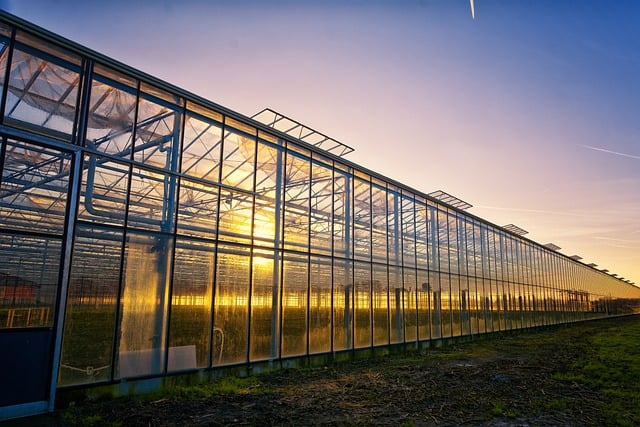 Free download greenhouse sunset glass building free picture to be edited with GIMP free online image editor