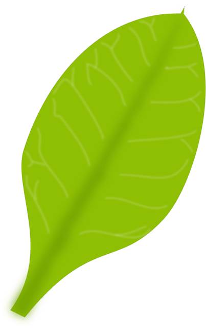 Free download Green Leaf - Free vector graphic on Pixabay free illustration to be edited with GIMP free online image editor