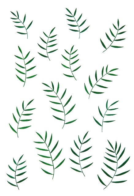 Free download Green Minimal Natural -  free illustration to be edited with GIMP free online image editor