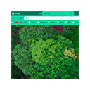 Green Peaceful Ambience Theme  screen for extension Chrome web store in OffiDocs Chromium