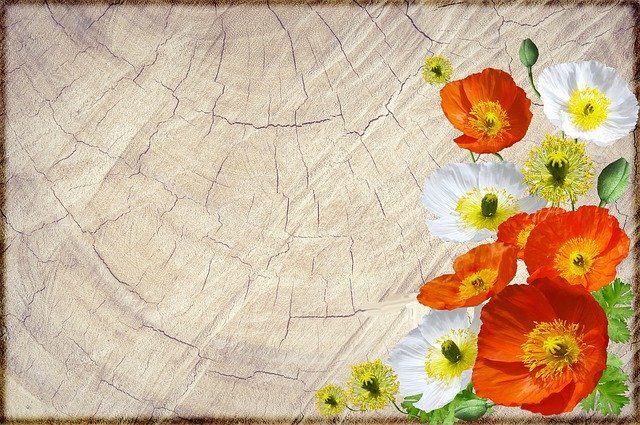 Free download Greeting Card Poppies Timber -  free illustration to be edited with GIMP free online image editor