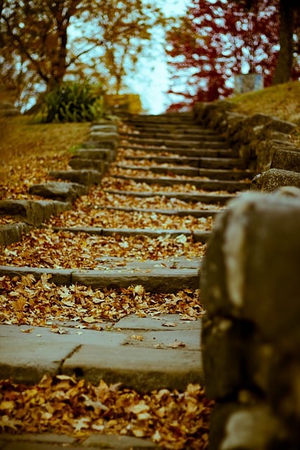 Free download ground slate steps stairs leaves free picture to be edited with GIMP free online image editor