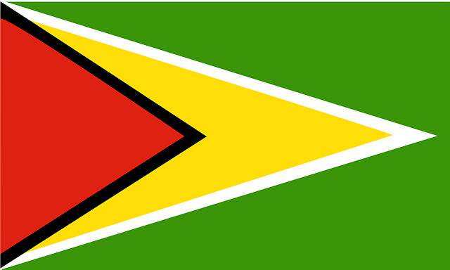 Free download Guyana Flag Country - Free vector graphic on Pixabay free illustration to be edited with GIMP free online image editor