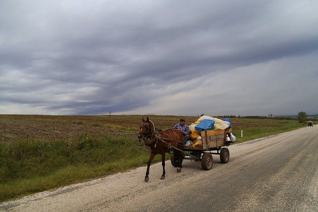 Free download Gypsy Turkey Horse Carts -  free photo or picture to be edited with GIMP online image editor