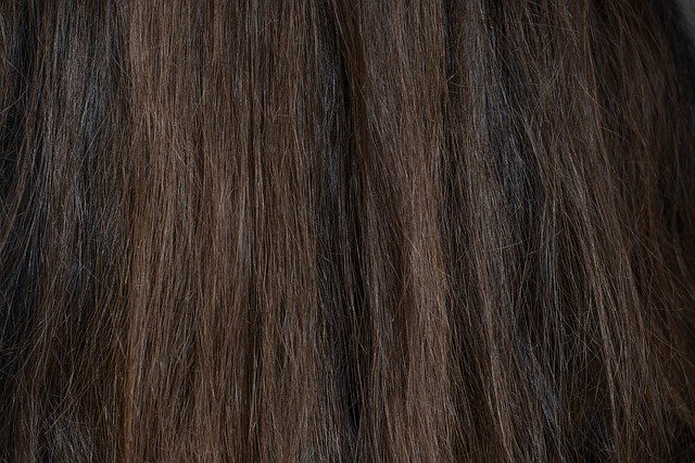 Free download Hair Dark Brown -  free photo or picture to be edited with GIMP online image editor