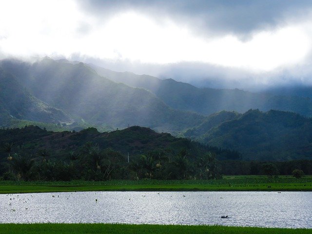 دانلود رایگان جزیره هاوایی Hanalei Kauai - عکس یا تصویر رایگان قابل ویرایش با ویرایشگر تصویر آنلاین GIMP