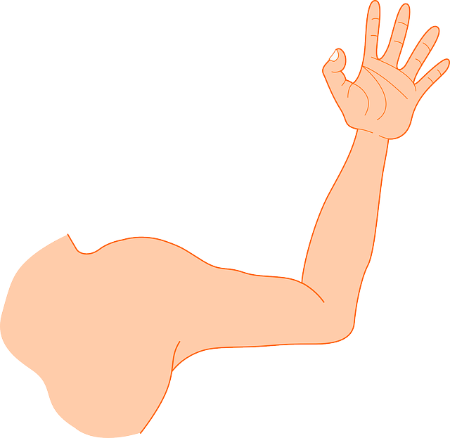 Free download Hand Arm Man Strong - Free vector graphic on Pixabay free illustration to be edited with GIMP free online image editor