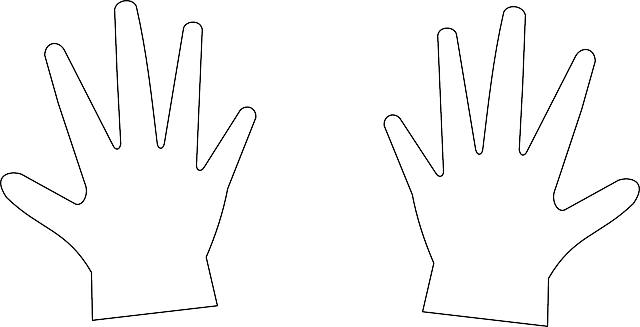 Free download Hands Chirality Symmetry - Free vector graphic on Pixabay free illustration to be edited with GIMP free online image editor