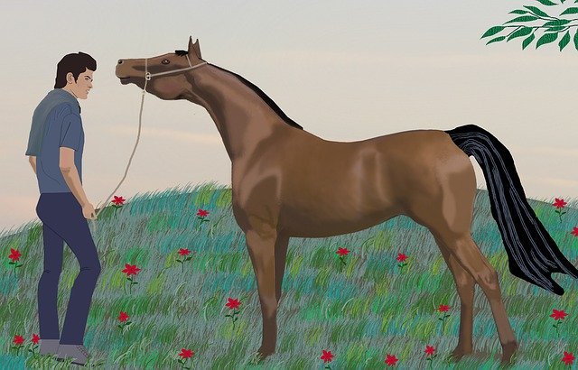 Free download Handsome Man Horse Flowers -  free illustration to be edited with GIMP free online image editor