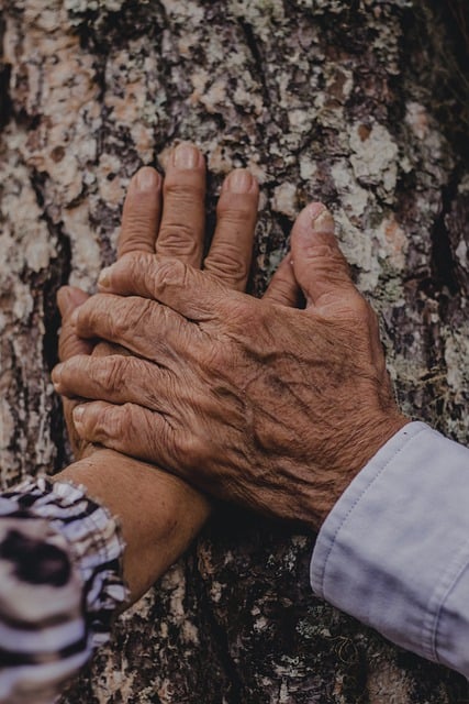 Free download hand texture love couple romance free picture to be edited with GIMP free online image editor