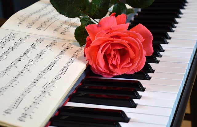 Free download happy mothers day piano concert free picture to be edited with GIMP free online image editor