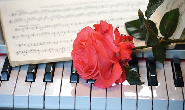 Free download happy mothers day piano rose free picture to be edited with GIMP free online image editor