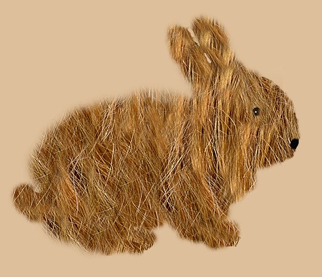 Free download Hare Rodent Rabbit Dwarf -  free illustration to be edited with GIMP free online image editor