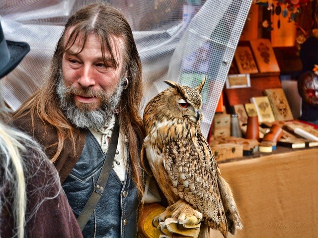 ດາວ​ໂຫຼດ​ຟຣີ Harry Potter Man Owl - ຮູບ​ພາບ​ຟຣີ​ຫຼື​ຮູບ​ພາບ​ທີ່​ຈະ​ໄດ້​ຮັບ​ການ​ແກ້​ໄຂ​ກັບ GIMP ອອນ​ໄລ​ນ​໌​ບັນ​ນາ​ທິ​ການ​ຮູບ​ພາບ​