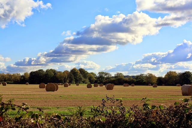 Free download harvest autumn sky clouds field free picture to be edited with GIMP free online image editor