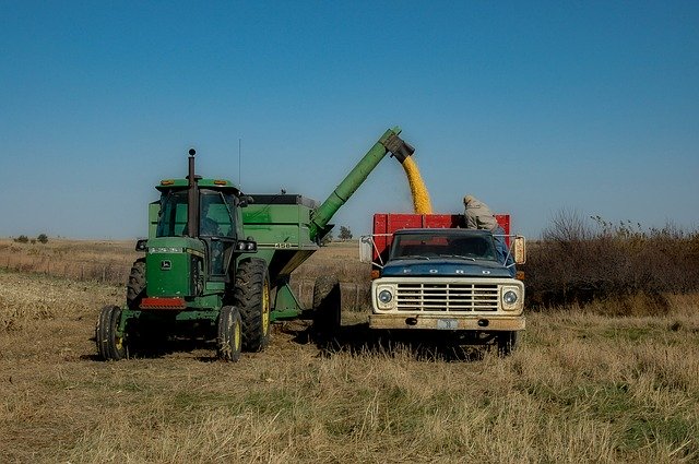 Free download Harvest Fall Crops -  free photo or picture to be edited with GIMP online image editor