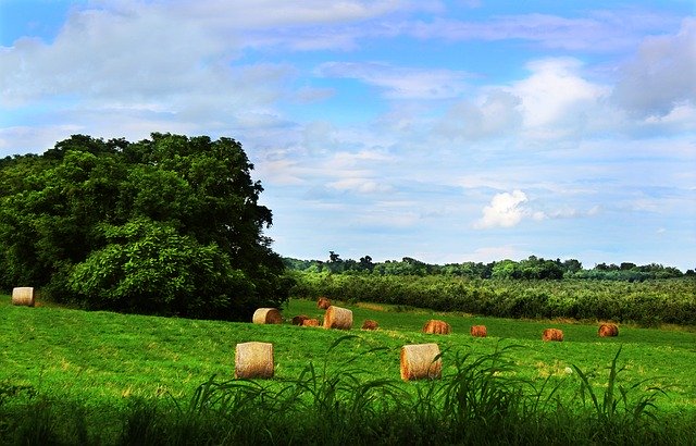 Free download Hay Bales Shenandoah Valley -  free photo or picture to be edited with GIMP online image editor