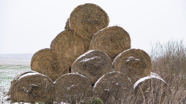 Free download Hay Bale Winter -  free photo or picture to be edited with GIMP online image editor