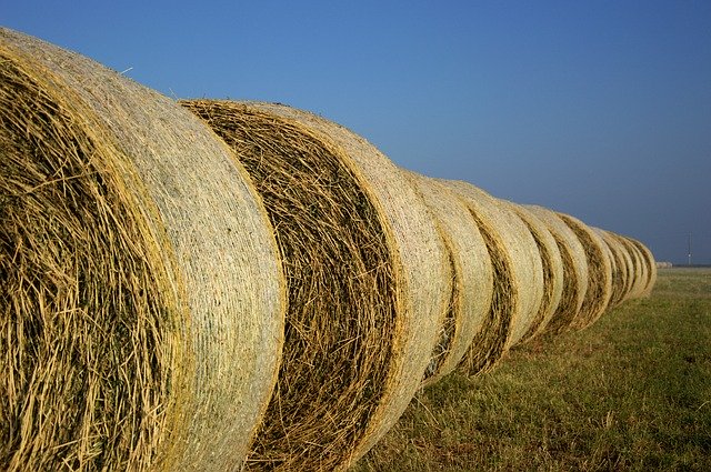 Free download Hay Field Nature -  free photo or picture to be edited with GIMP online image editor