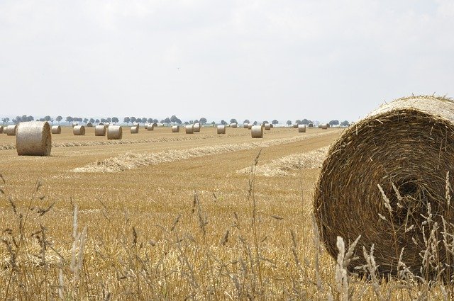 Free download Hay Landscape Field -  free photo or picture to be edited with GIMP online image editor