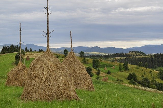 Free download Hay Summer The Carpathians -  free photo or picture to be edited with GIMP online image editor