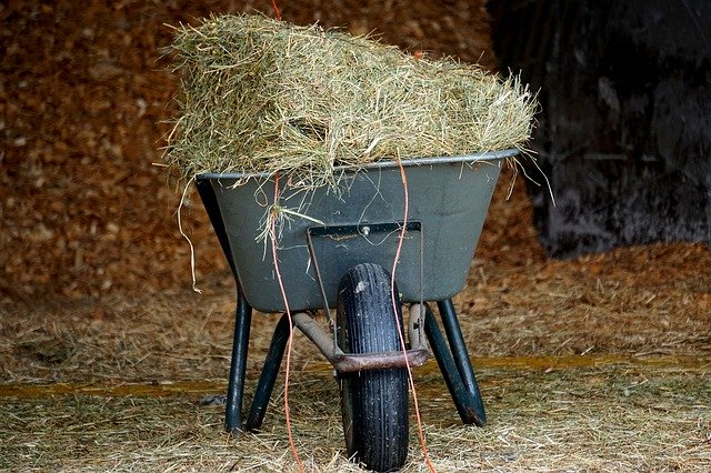 Free download Hay Wheelbarrow Agricultural -  free photo or picture to be edited with GIMP online image editor