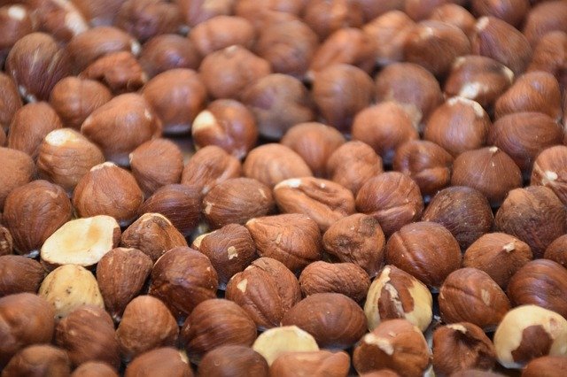 Free download Hazelnut Peanut Nut -  free photo or picture to be edited with GIMP online image editor