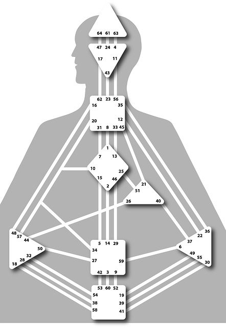 Free download Hds Body Graphics Chart -  free illustration to be edited with GIMP free online image editor