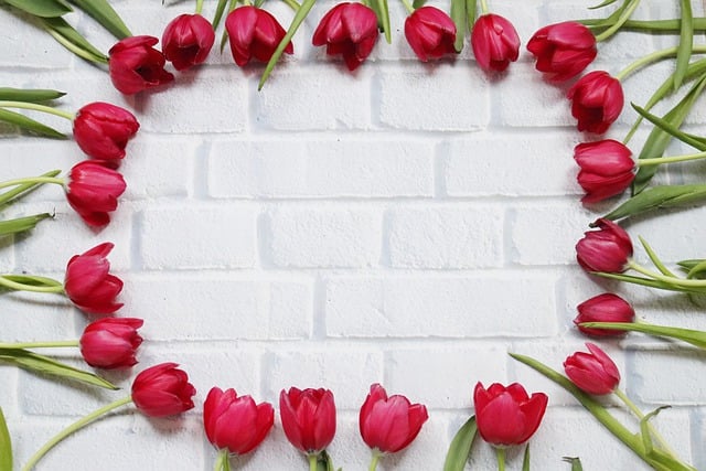 Free download hd wallpaper flowers wreath tulips free picture to be edited with GIMP free online image editor