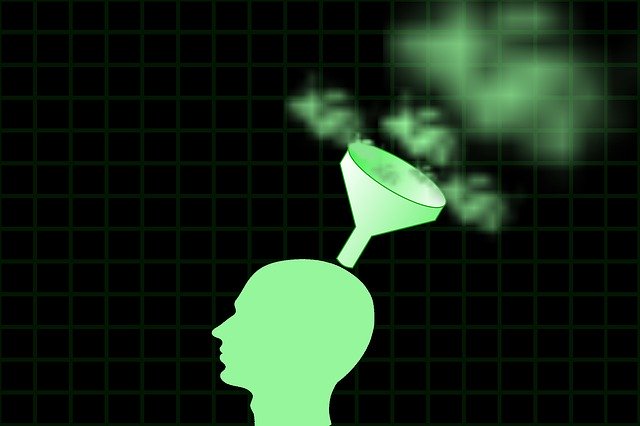 Free download Head Funnel Perception -  free illustration to be edited with GIMP free online image editor