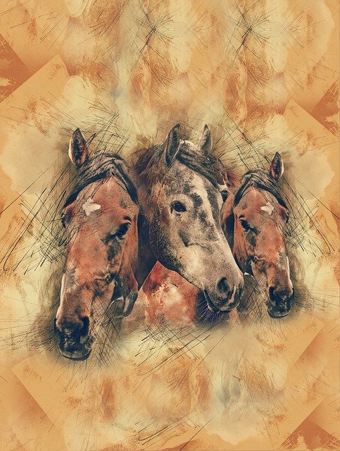 Free download Head Horse Animal -  free illustration to be edited with GIMP free online image editor