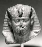 Free download Head of king Amasis free photo or picture to be edited with GIMP online image editor