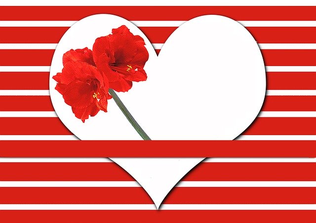 Free download Heart Amaryllis Stripes -  free illustration to be edited with GIMP free online image editor