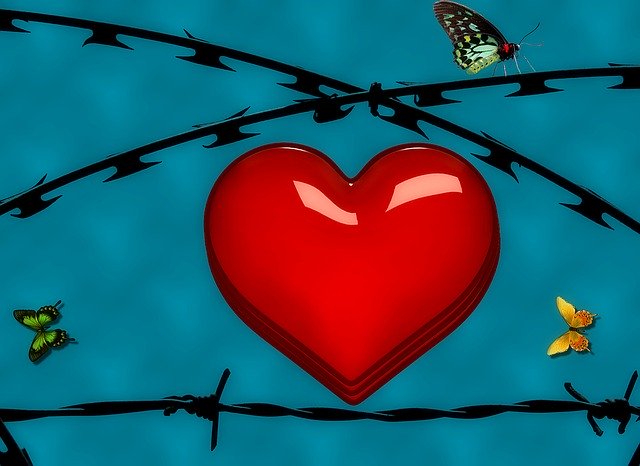 Free download Heart Butterfly Barbed Wire -  free illustration to be edited with GIMP free online image editor