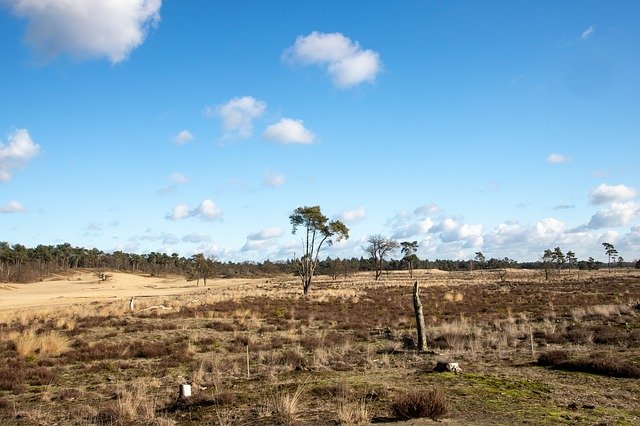 Free download Heide Clouds Landscape -  free photo or picture to be edited with GIMP online image editor