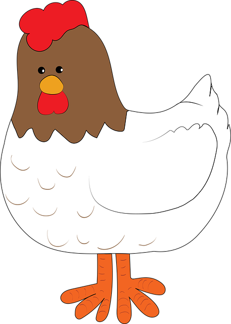 Free download Hen Farm Chicken -  free illustration to be edited with GIMP free online image editor